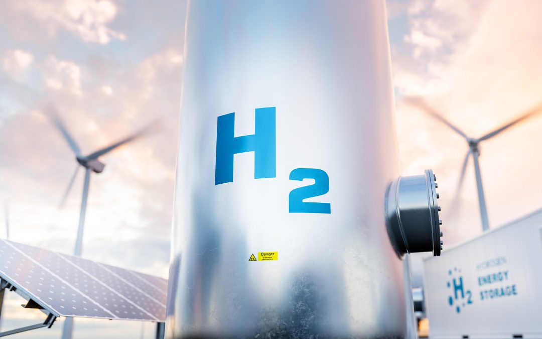 Wasserstoffbasierte Industrie in Deutschland und Europa: Potenziale und Rahmenbedingungen für den Wasserstoffbedarf und -ausbau sowie die Preisentwicklungen für die Industrie
